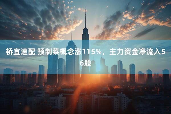 桥宜速配 预制菜概念涨115%，主力资金净流入56股