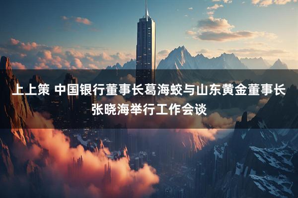 上上策 中国银行董事长葛海蛟与山东黄金董事长张晓海举行工作会谈
