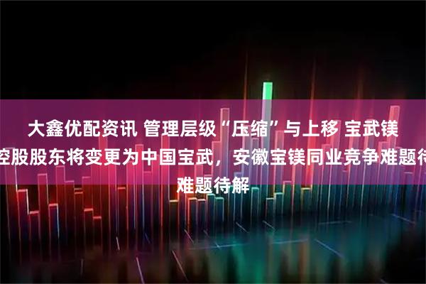 大鑫优配资讯 管理层级“压缩”与上移 宝武镁业控股股东将变更为中国宝武，安徽宝镁同业竞争难题待解